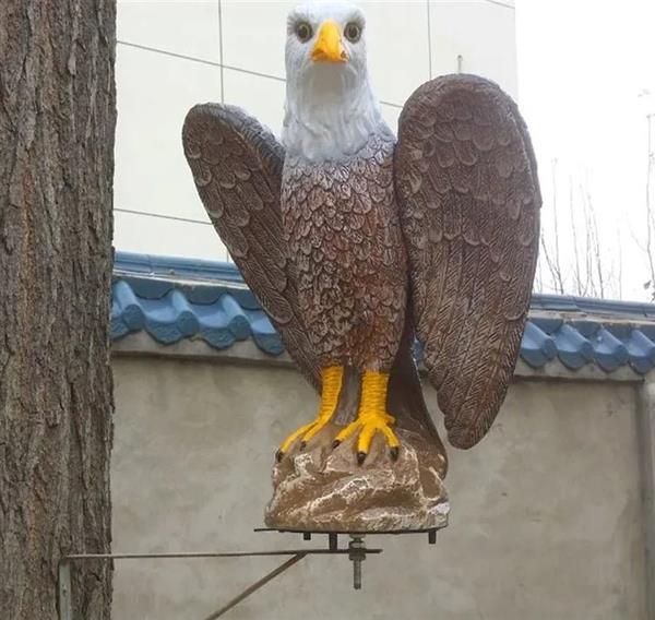 Grote foto winged eagle gevleugende arend met lager dieren en toebehoren overige