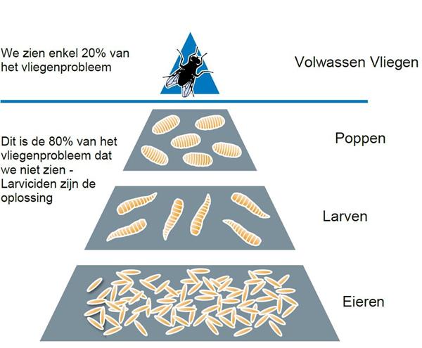 Grote foto dimilin 25 poeder concentraat dieren en toebehoren overige