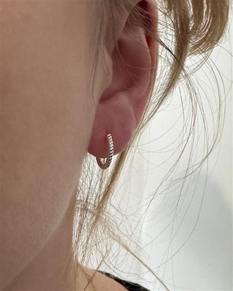 Grote foto zilveren twist huggie hoops sieraden tassen en uiterlijk oorbellen