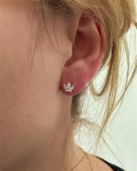 Grote foto zilveren mini kroon oorstekers met zirkonia sieraden tassen en uiterlijk oorbellen