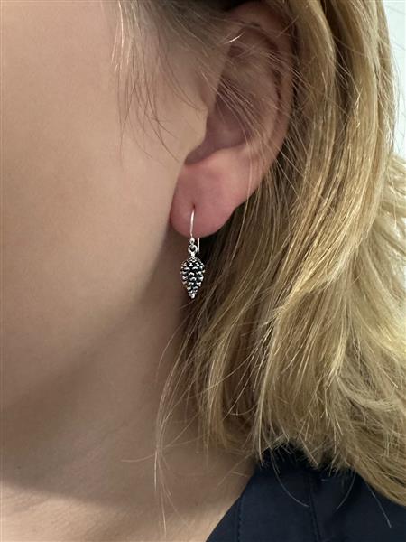 Grote foto zilveren dennenappel oorhangers sieraden tassen en uiterlijk oorbellen