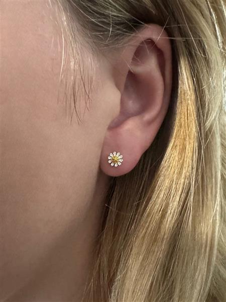 Grote foto zilveren kleine margriet bloem oorstekers sieraden tassen en uiterlijk oorbellen