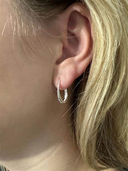 Grote foto zilveren ovale oorringen sieraden tassen en uiterlijk oorbellen