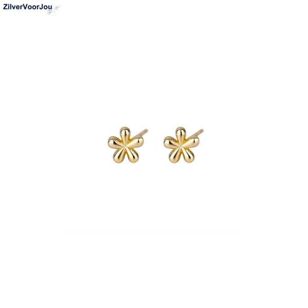 Grote foto zilveren mini bloem oorstekers goud verguld sieraden tassen en uiterlijk oorbellen