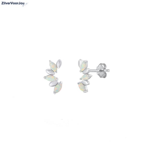 Grote foto zilveren witte opaal waaier oorstekers rhodium sieraden tassen en uiterlijk oorbellen