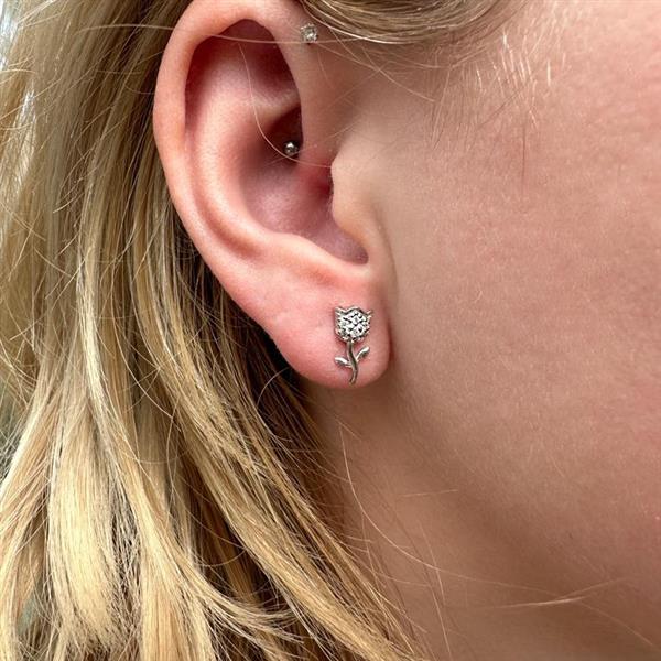 Grote foto zilveren roos cz studs sieraden tassen en uiterlijk oorbellen