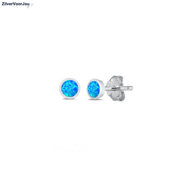 Grote foto zilveren kleine oorstekers met blauwe opaal sieraden tassen en uiterlijk oorbellen