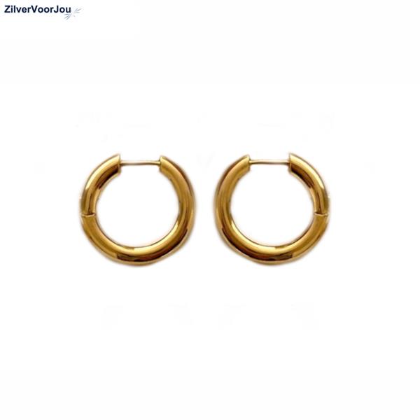 Grote foto zilveren ronde huggie hoops 18k geel goud verguld sieraden tassen en uiterlijk oorbellen