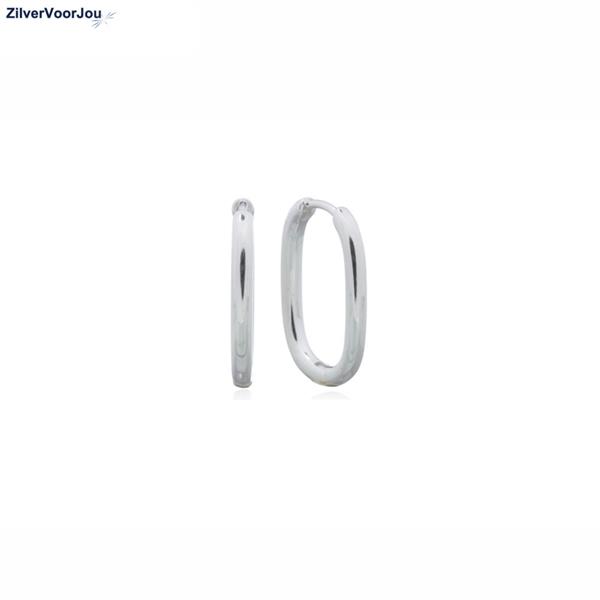 Grote foto zilveren ovale huggie hoops sieraden tassen en uiterlijk oorbellen
