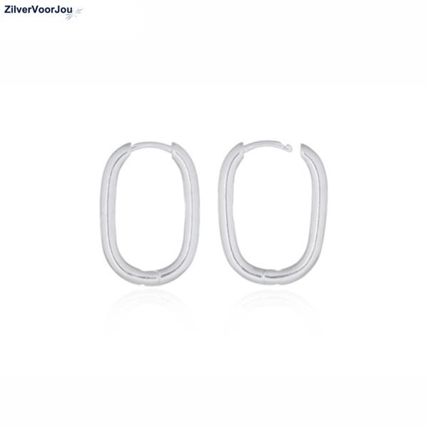 Grote foto zilveren ovale huggie hoops sieraden tassen en uiterlijk oorbellen