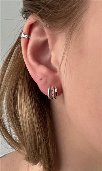 Grote foto zilveren claw oorstekers sieraden tassen en uiterlijk oorbellen