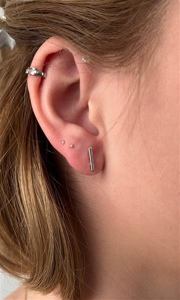 Grote foto zilveren rechthoekige staafjes oorstekers sieraden tassen en uiterlijk oorbellen