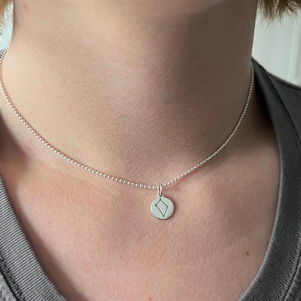 Grote foto zilveren sterrenbeeld ketting sieraden tassen en uiterlijk kettingen