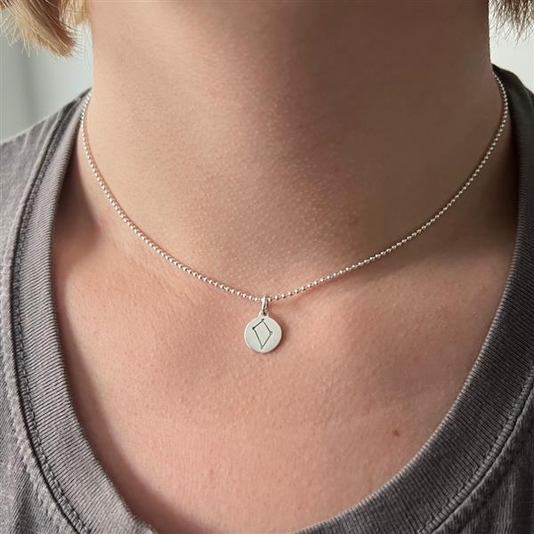 Grote foto zilveren sterrenbeeld ketting sieraden tassen en uiterlijk kettingen