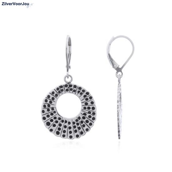 Grote foto zilveren disc with hole leverback oorhangers sieraden tassen en uiterlijk oorbellen