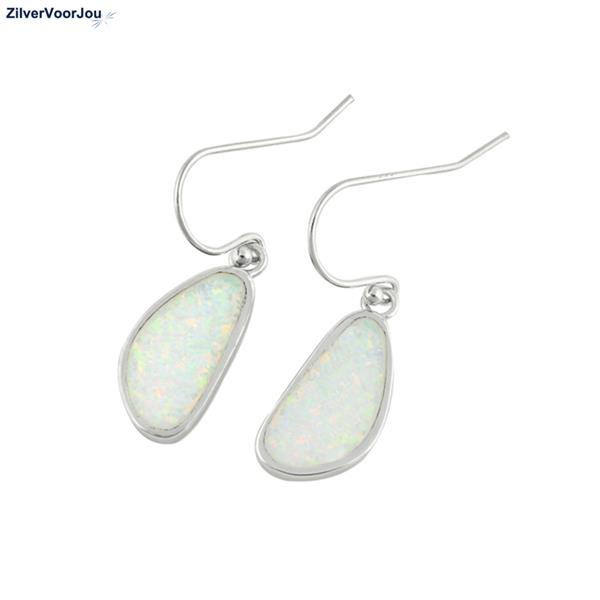 Grote foto zilveren witte opaal niervorm oorbellen sieraden tassen en uiterlijk oorbellen