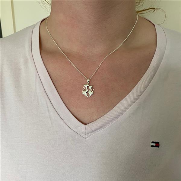 Grote foto zilveren twee poezen ketting sieraden tassen en uiterlijk kettingen