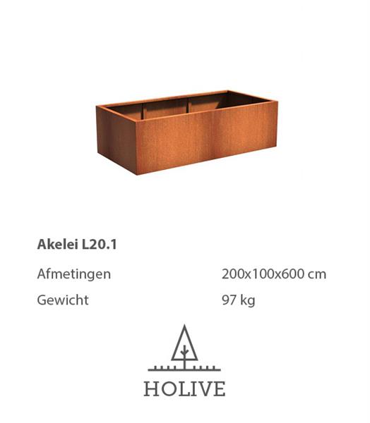 Grote foto cortenstaal akelei l20.1 plantenbak 200x100x60 cm. cortenstalen bloembak tuin en terras bloembakken