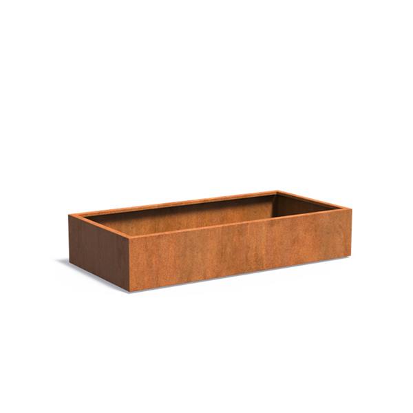 Grote foto cortenstaal akelei l20.2 plantenbak 200x100x40 cm. cortenstalen bloembak tuin en terras bloembakken