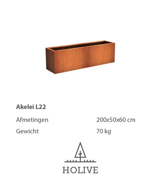 Grote foto cortenstaal akelei l22 plantenbak 200x50x60 cm. cortenstalen bloembak tuin en terras bloembakken