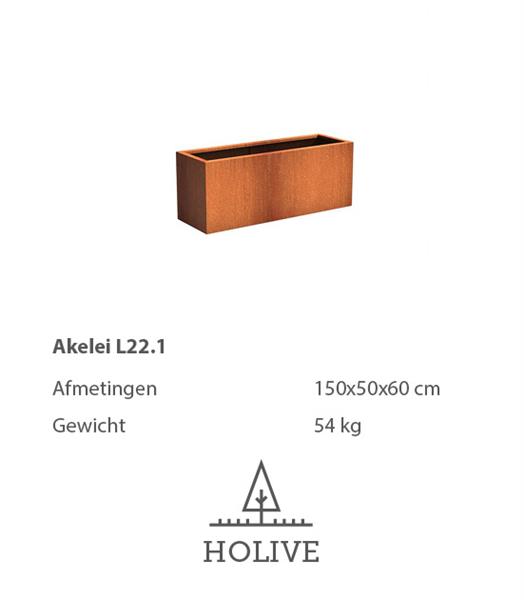 Grote foto cortenstaal akelei l22.1 plantenbak 150x50x60 cm. cortenstalen bloembak tuin en terras bloembakken