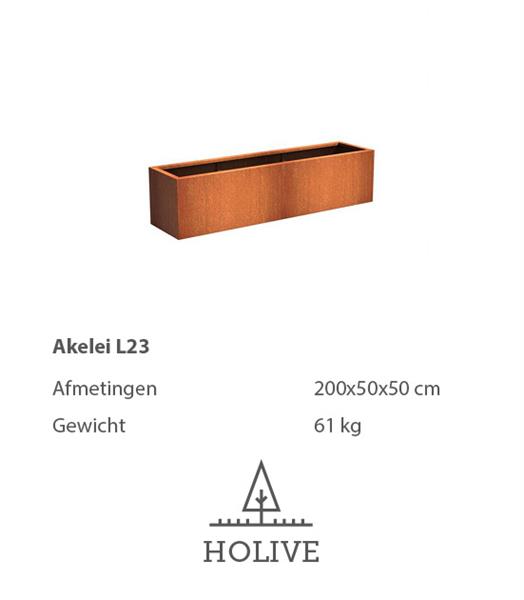 Grote foto cortenstaal akelei l23 plantenbak 200x50x50 cm. cortenstalen bloembak tuin en terras bloembakken