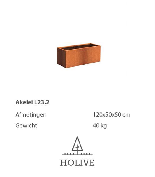 Grote foto cortenstaal akelei l23.2 plantenbak 120x50x50 cm. cortenstalen bloembak tuin en terras bloembakken