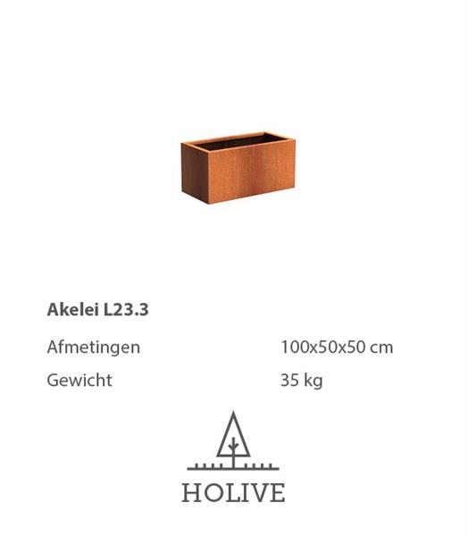 Grote foto cortenstaal akelei l23.3 plantenbak 100x50x50 cm. cortenstalen bloembak tuin en terras bloembakken