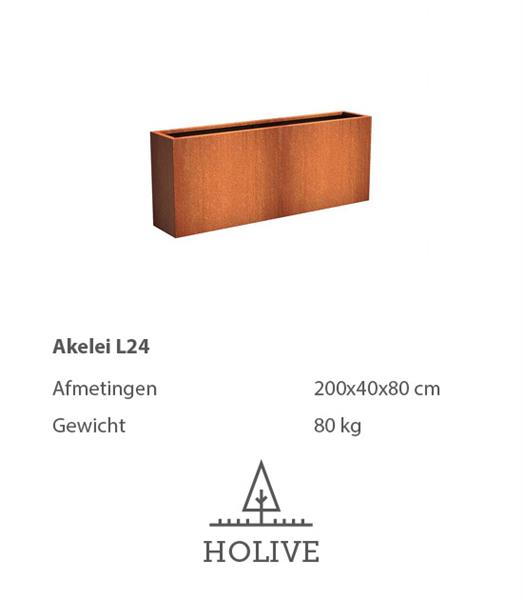 Grote foto cortenstaal akelei l24 plantenbak 200x40x80 cm. cortenstalen bloembak tuin en terras bloembakken