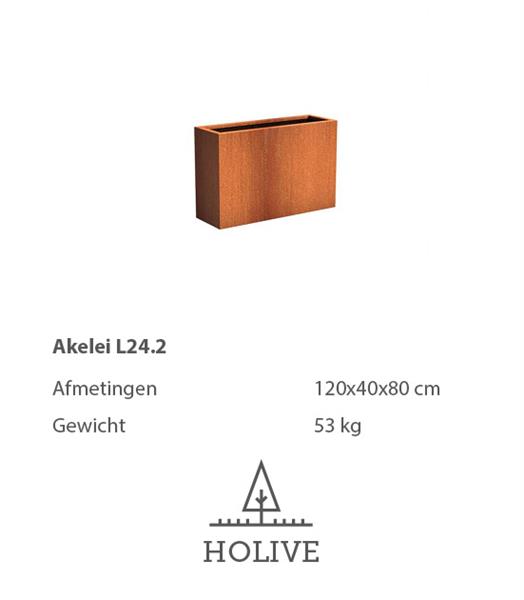 Grote foto cortenstaal akelei l24.2 plantenbak 120x40x80 cm. cortenstalen bloembak tuin en terras bloembakken