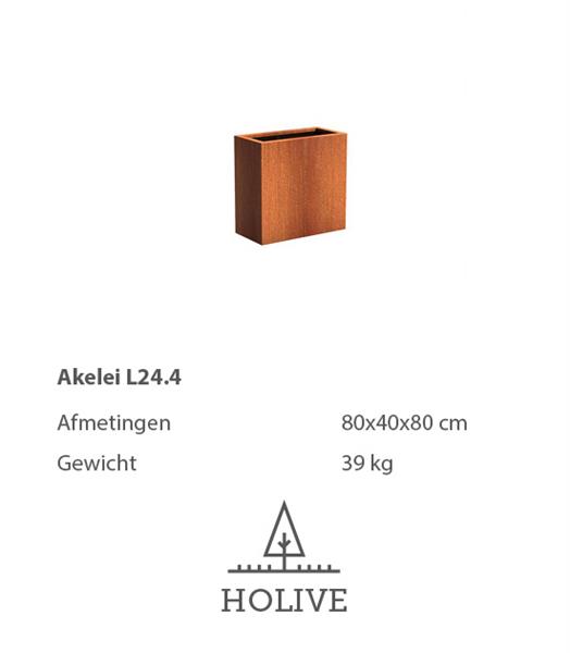 Grote foto cortenstaal akelei l24.4 plantenbak 80x40x80 cm. cortenstalen bloembak tuin en terras bloembakken
