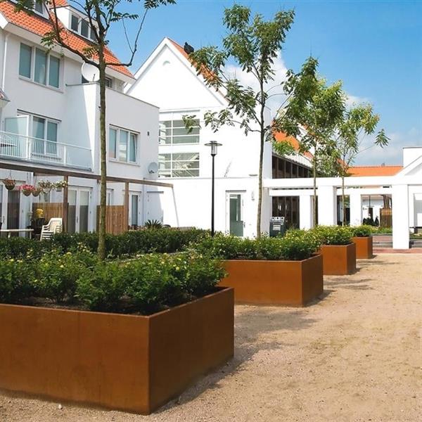 Grote foto cortenstaal akelei l24.4 plantenbak 80x40x80 cm. cortenstalen bloembak tuin en terras bloembakken