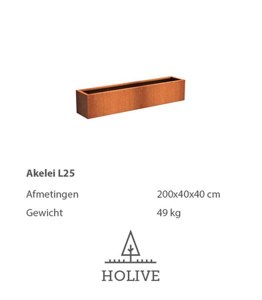 Grote foto cortenstaal akelei plantenbak l25 200x40x40 cm. cortenstalen bloembak tuin en terras bloembakken