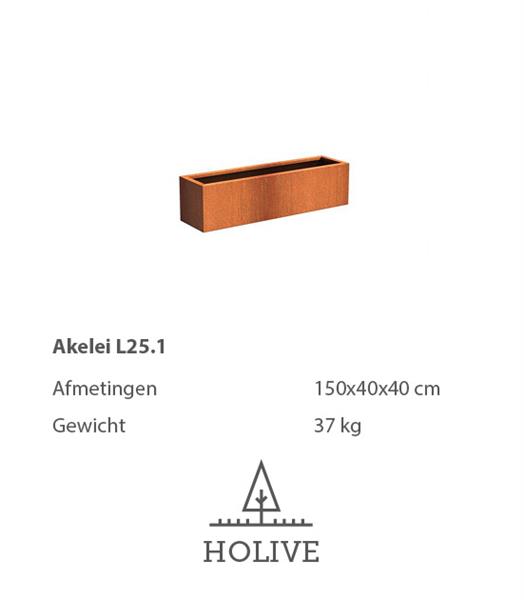 Grote foto cortenstaal akelei l25.1 plantenbak 150x40x40 cm. cortenstalen bloembak tuin en terras bloembakken