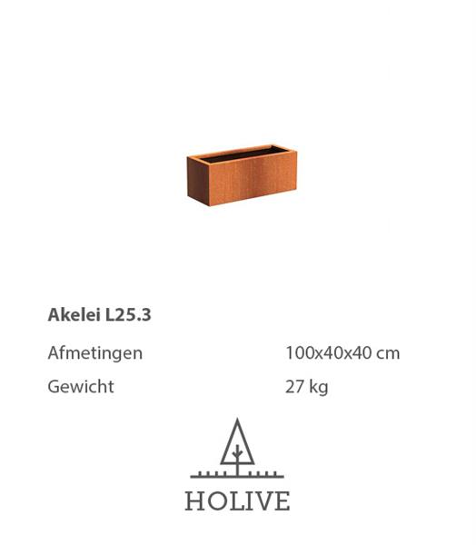 Grote foto cortenstaal akelei l25.3 plantenbak 100x40x40 cm. cortenstalen bloembak tuin en terras bloembakken