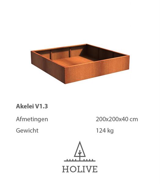 Grote foto cortenstaal akelei v1.3 plantenbak 200x200x40 cm. tuin en terras bloembakken