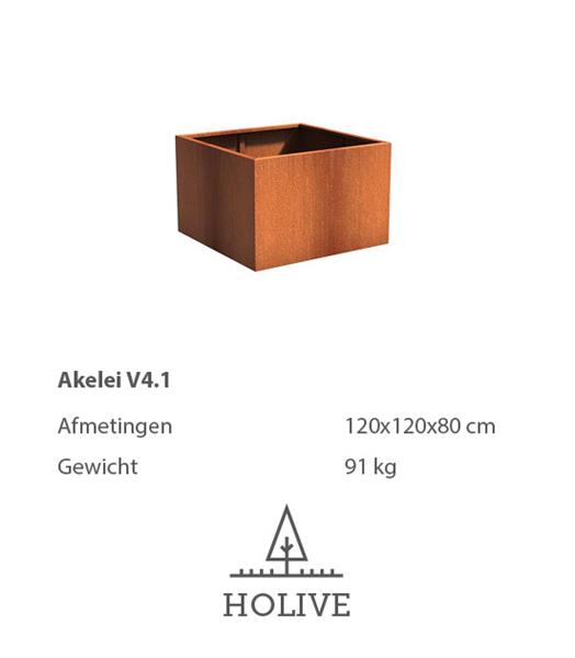 Grote foto cortenstaal akelei v4.1 plantenbak 120x120x80 cm. tuin en terras bloembakken