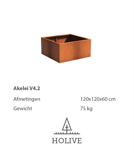 Grote foto cortenstaal akelei v4.2 plantenbak 120x120x60 cm. tuin en terras bloembakken