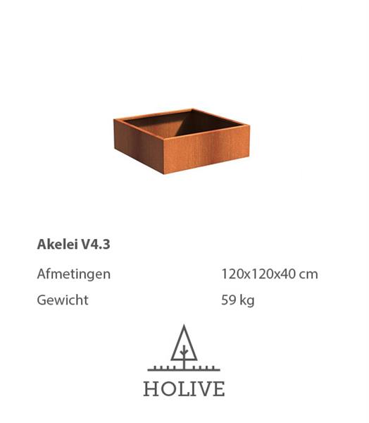Grote foto cortenstaal akelei v4.3 plantenbak 120x120x40 cm. tuin en terras bloembakken