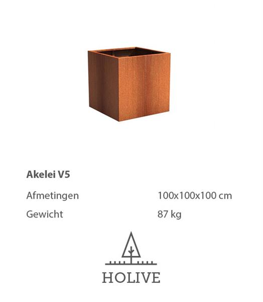 Grote foto cortenstaal akelei v5 plantenbak 100x100x100 cm. tuin en terras bloembakken