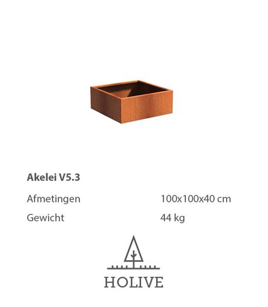 Grote foto cortenstaal akelei v5.3 plantenbak 100x100x40 cm. tuin en terras bloembakken