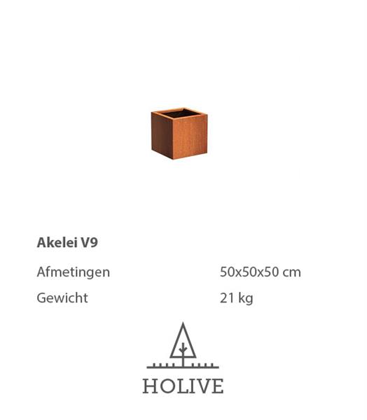 Grote foto cortenstaal akelei v9 plantenbak 50x50x50 cm. tuin en terras bloembakken