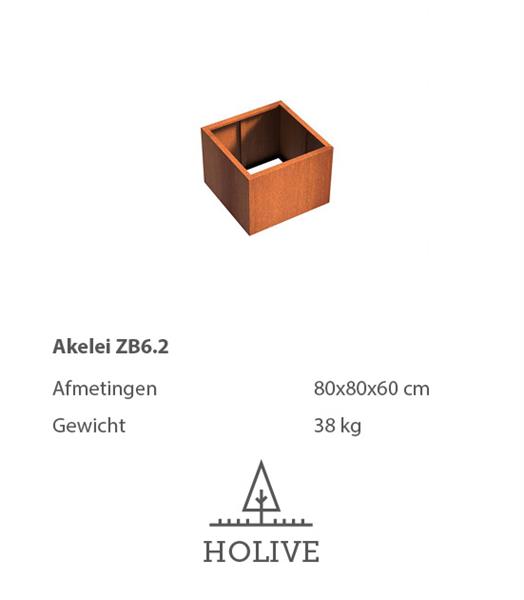 Grote foto cortenstaal akelei zb6.2 plantenbak 80x80x60 cm. tuin en terras bloembakken