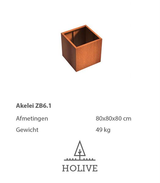Grote foto cortenstaal akelei zb6.1 plantenbak 80x80x80 cm. tuin en terras bloembakken
