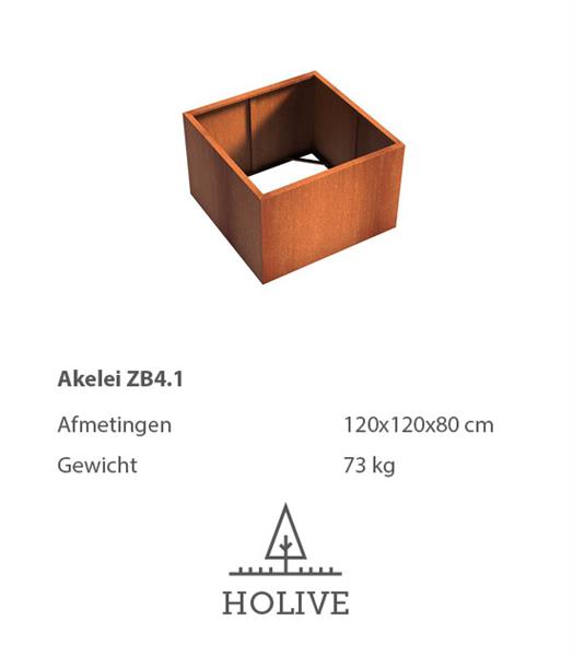 Grote foto cortenstaal akelei zb4.1 plantenbak 120x120x80 cm. tuin en terras bloembakken