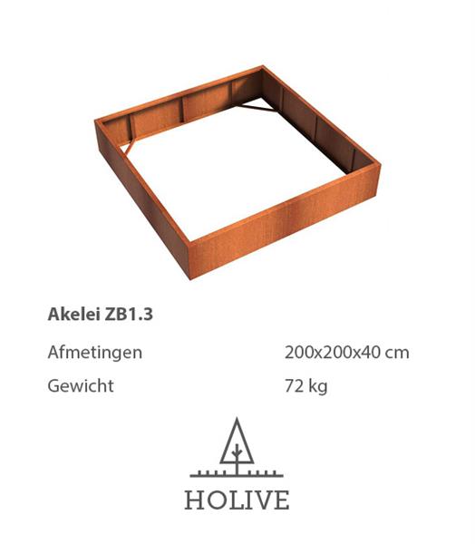 Grote foto cortenstaal akelei zb1.3 plantenbak 200x200x40 cm. tuin en terras bloembakken