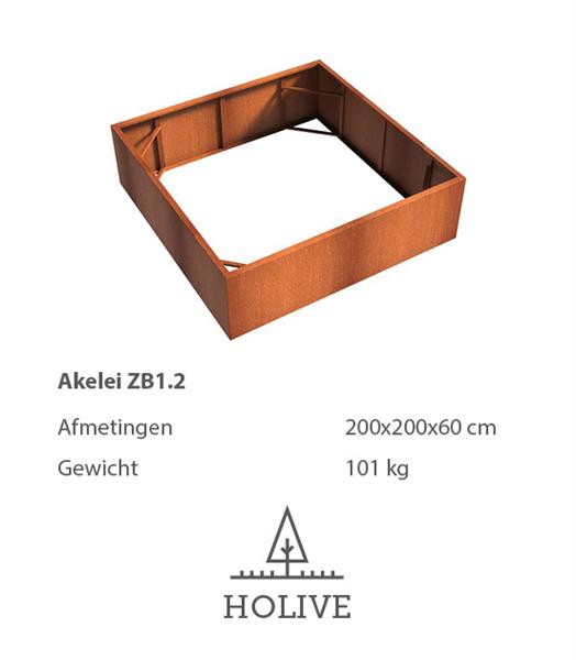 Grote foto cortenstaal akelei zb1.2 plantenbak 200x200x60 cm. tuin en terras bloembakken