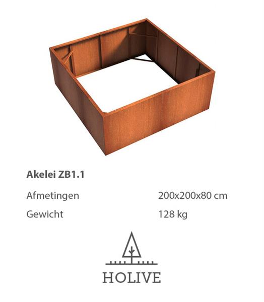 Grote foto cortenstaal aklelei zb1.1 plantenbak 200x200x80 cm. tuin en terras bloembakken