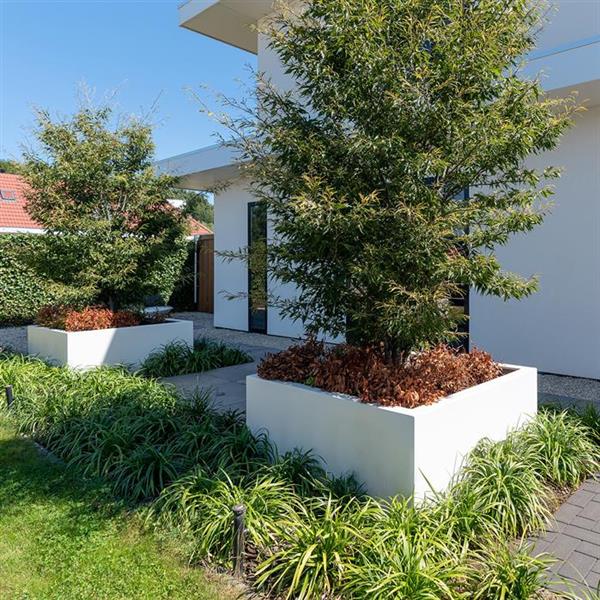 Grote foto polyester flox l25.5 plantenbak 60x40x40 cm. tuin en terras bloembakken