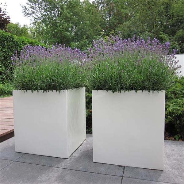 Grote foto polyester flox l24.2 plantenbak 120x40x80 cm. tuin en terras bloembakken